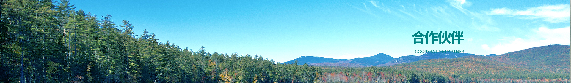 合作伙伴
