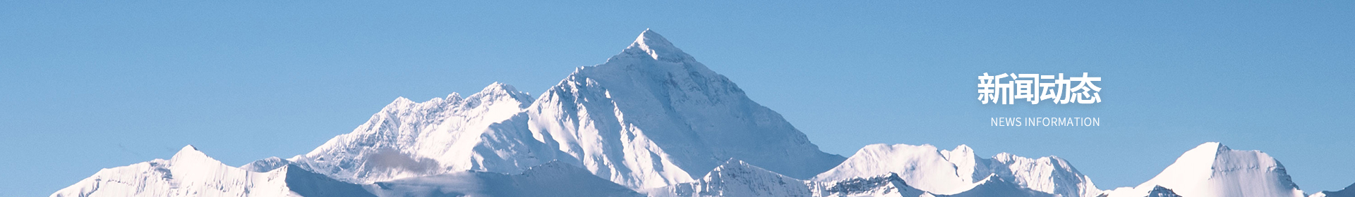 资讯动态